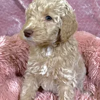 processed/656372fa-cb17-46a8-be22-bddf1c831342/facility/2c7aeb49-900b-45fe-b7bd-4e8b5663ec9b