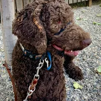 processed/656372fa-cb17-46a8-be22-bddf1c831342/facility/313bd138-4f31-4bb9-8cb1-922a7d52bb08