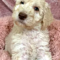 processed/656372fa-cb17-46a8-be22-bddf1c831342/facility/3dea6969-09cf-4061-bd1d-955c23995521