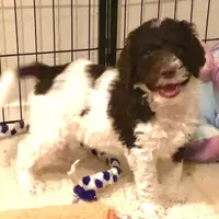 processed/656372fa-cb17-46a8-be22-bddf1c831342/facility/6b3fd4a3-eb2f-4789-9044-f3e397b930d0