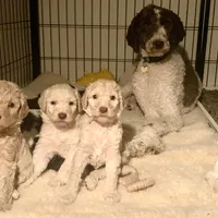 processed/656372fa-cb17-46a8-be22-bddf1c831342/facility/77523423-3047-4f34-8ec7-d82ac745c815