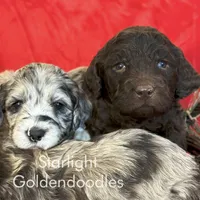 processed/656372fa-cb17-46a8-be22-bddf1c831342/facility/ca7ded83-0a67-4b2e-98a2-1f1182db9821