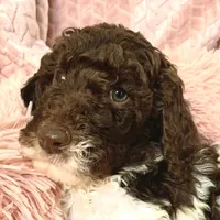 processed/656372fa-cb17-46a8-be22-bddf1c831342/facility/ccbd8db2-ba2b-497a-9eda-60950bae012d