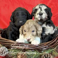 processed/656372fa-cb17-46a8-be22-bddf1c831342/facility/cfdbfa2d-6bb7-4d6a-b5c6-40d332b81994