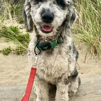 processed/656372fa-cb17-46a8-be22-bddf1c831342/facility/f2386150-4e1e-40c0-b246-61bacaa8f410