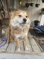 processed/6567ed08-6b3e-411f-babf-cb80d7aa3fe1/facility/3a9844b7-2abb-4c3f-bbf3-621f29d3a6d4