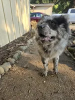 processed/6567ed08-6b3e-411f-babf-cb80d7aa3fe1/facility/438bd4d5-175f-4e0d-92cc-5d446d23c015