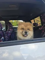 processed/6567ed08-6b3e-411f-babf-cb80d7aa3fe1/facility/b5af5166-17d6-4b28-b073-983af9601d1d