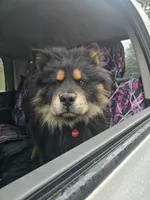 processed/6567ed08-6b3e-411f-babf-cb80d7aa3fe1/facility/e850b15e-81c9-42c3-9c8c-5d1145a33be5