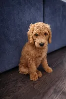 processed/656a4a50-64de-4021-a5d2-dd4345aac0c9/listing/28135444-596f-4a09-9a42-108ba9d37d7f/20edb308-b291-4afb-b174-ae7514ec5581