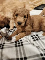 processed/656a4a50-64de-4021-a5d2-dd4345aac0c9/listing/28135444-596f-4a09-9a42-108ba9d37d7f/fc8044ea-608d-4eb2-af6f-5a09f56d5e4a