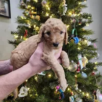 processed/656a4a50-64de-4021-a5d2-dd4345aac0c9/listing/4b3e603e-20c8-4f8c-aacb-2776ccc5fa64/14de18ef-aa20-4149-9014-0269aa3fa606