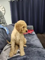 processed/656a4a50-64de-4021-a5d2-dd4345aac0c9/listing/4b3e603e-20c8-4f8c-aacb-2776ccc5fa64/58773469-966f-44c7-b1d9-71286f420740