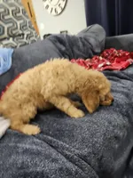 processed/656a4a50-64de-4021-a5d2-dd4345aac0c9/listing/4b3e603e-20c8-4f8c-aacb-2776ccc5fa64/65fcbe3d-cc3b-410d-9338-0a2773d7d5e0