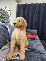 processed/656a4a50-64de-4021-a5d2-dd4345aac0c9/listing/4b3e603e-20c8-4f8c-aacb-2776ccc5fa64/acf86d35-2796-4998-8ef2-dbfd7d7a8e9a