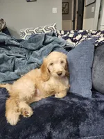 processed/656a4a50-64de-4021-a5d2-dd4345aac0c9/listing/e7f5ea18-a7e5-40df-9961-1addcc9899f7/0aa1cbca-6593-4c11-ab9b-249d9afac94b