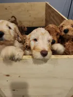 processed/656a4a50-64de-4021-a5d2-dd4345aac0c9/listing/e7f5ea18-a7e5-40df-9961-1addcc9899f7/211eb942-bdd2-4312-8b5a-120881683e67