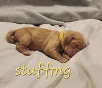 processed/656a4a50-64de-4021-a5d2-dd4345aac0c9/listing/e7f5ea18-a7e5-40df-9961-1addcc9899f7/884fc496-e5fe-4b2a-8229-74e5bc10af10