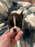 processed/6577d519-405c-4e05-817a-1b6ad54cc385/listing/c8ea99cf-e530-4756-b08f-23fd827fa07e/58c484c8-ffe8-456c-9387-bfe78a3944c4