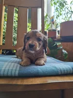 processed/657a2a1f-1e26-411a-b5f8-224f0fc5be9b/listing/8663ccbd-3a64-4939-bd7e-cd3bf82fb99b/8d528ba1-58ea-454d-92c8-721674b6ee0a