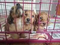 processed/657a2a1f-1e26-411a-b5f8-224f0fc5be9b/listing/8663ccbd-3a64-4939-bd7e-cd3bf82fb99b/d139c61e-8cbe-4747-80d0-61a5c1b842b9