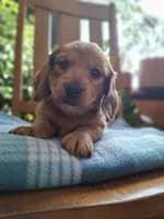 processed/657a2a1f-1e26-411a-b5f8-224f0fc5be9b/listing/f44f7625-83fe-46f4-9902-dbd2e55cb826/1496b890-4972-4633-b732-012a0b608c15