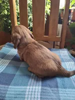 processed/657a2a1f-1e26-411a-b5f8-224f0fc5be9b/listing/f44f7625-83fe-46f4-9902-dbd2e55cb826/2da61b17-2724-4e8e-8a6e-c012ef199bb3