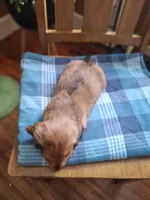 processed/657a2a1f-1e26-411a-b5f8-224f0fc5be9b/listing/f44f7625-83fe-46f4-9902-dbd2e55cb826/6a8f19e1-b8fc-4ce0-a471-f4f59712e3d1