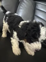 processed/657b3c82-fc1d-4c8c-a3df-f320508c5662/listing/1f356034-6088-4527-9e87-3171c51471c6/8fb647a3-04dc-4eb4-b65b-a7628fbfc5a3