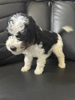 processed/657b3c82-fc1d-4c8c-a3df-f320508c5662/listing/1f356034-6088-4527-9e87-3171c51471c6/b9bd16b1-7015-497b-bb70-b7c8380de134