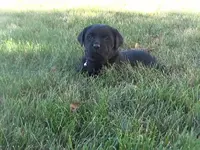 processed/6590ce17-e260-4f0a-95fe-5297aa0b2924/listing/d5d5d21c-d008-4533-9c3d-f08181842086/22a41888-ac6d-464a-b4a0-064b73f70326