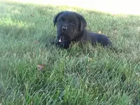 processed/6590ce17-e260-4f0a-95fe-5297aa0b2924/listing/d5d5d21c-d008-4533-9c3d-f08181842086/3da23b14-b6a0-4889-a3fe-f441d721e79d