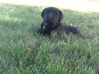 processed/6590ce17-e260-4f0a-95fe-5297aa0b2924/listing/d5d5d21c-d008-4533-9c3d-f08181842086/bd9a00fb-eff7-4b50-af93-12cee09d105c