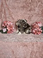 processed/6590ee57-c438-4ab3-bdcc-03cc766b01d8/listing/3bdffdda-b78d-4661-be1c-9801683724bb/3472b08d-0da4-4dd4-8a2a-eb49ded3f163