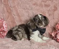 processed/6590ee57-c438-4ab3-bdcc-03cc766b01d8/listing/3bdffdda-b78d-4661-be1c-9801683724bb/82ec523f-0b7a-495d-99d3-5816dae464af