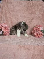 processed/6590ee57-c438-4ab3-bdcc-03cc766b01d8/listing/3bdffdda-b78d-4661-be1c-9801683724bb/ac8c2087-4cbb-4141-a872-9526115b50b2