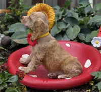 FBuff f, a female Cocker Spaniel for sale in Lexington, KY – Photo 1 of 4