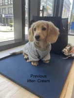 processed/65a92ef8-d509-419a-9223-a32b758eeb55/facility/4b62e25e-cb85-4b92-950e-15b768847dd4