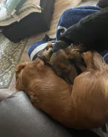 processed/65a92ef8-d509-419a-9223-a32b758eeb55/facility/68af402c-b827-4c28-a88c-d0a2beeaba95