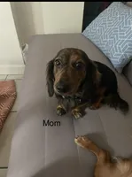 processed/65a92ef8-d509-419a-9223-a32b758eeb55/facility/6be3f74a-7668-4c17-900d-a6866f6e7379