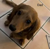 processed/65a92ef8-d509-419a-9223-a32b758eeb55/facility/a53d1646-885d-4f16-ada7-8a712b36bd8e