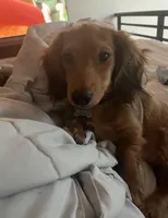 processed/65a92ef8-d509-419a-9223-a32b758eeb55/facility/b6079363-6275-4442-9ad6-bc6773452f4c