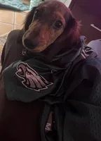 processed/65a92ef8-d509-419a-9223-a32b758eeb55/facility/b771c145-2acd-4a87-a79f-98094ce30450