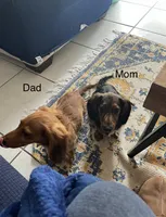 processed/65a92ef8-d509-419a-9223-a32b758eeb55/facility/e5cf5422-e66e-4286-bb11-23a1272f3cf7