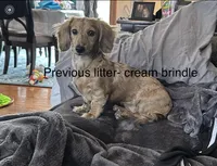 processed/65a92ef8-d509-419a-9223-a32b758eeb55/facility/fa9de84b-b475-45ea-afa9-9b95e9bb6c83