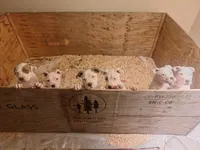 processed/65b03e4b-c425-419d-ba70-70a8fadcba30/facility/11b7254e-37cc-49a8-845d-f50805f7a48e