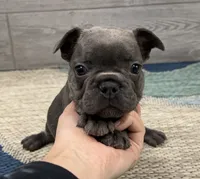 processed/65b0ead8-4996-42d0-86c0-eac11eef711a/listing/79b0b57d-bc87-4131-b58c-8a352182e7bd/0972446b-9aed-47cf-ac0d-646dfe59b685