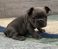 processed/65b0ead8-4996-42d0-86c0-eac11eef711a/listing/79b0b57d-bc87-4131-b58c-8a352182e7bd/4c7beb89-fd98-4f16-9137-246a5598409a