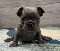 processed/65b0ead8-4996-42d0-86c0-eac11eef711a/listing/79b0b57d-bc87-4131-b58c-8a352182e7bd/d2cff07a-d0a3-4f73-a041-6f4e34f6d565