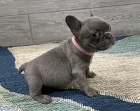 processed/65b0ead8-4996-42d0-86c0-eac11eef711a/listing/b0eb44a6-9389-43a4-80b5-6d718e9061c8/8927b607-e6ba-4205-a67c-55035c953cdb